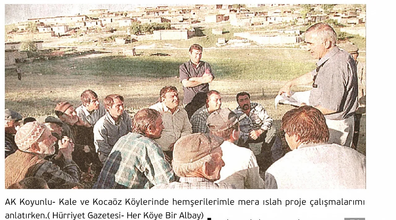 Orman Yangınları