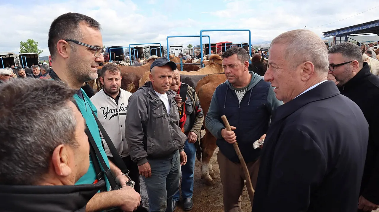 Milletvekili Olgun: Hayvan Pazarında Geçim Mücadelesini Gördük