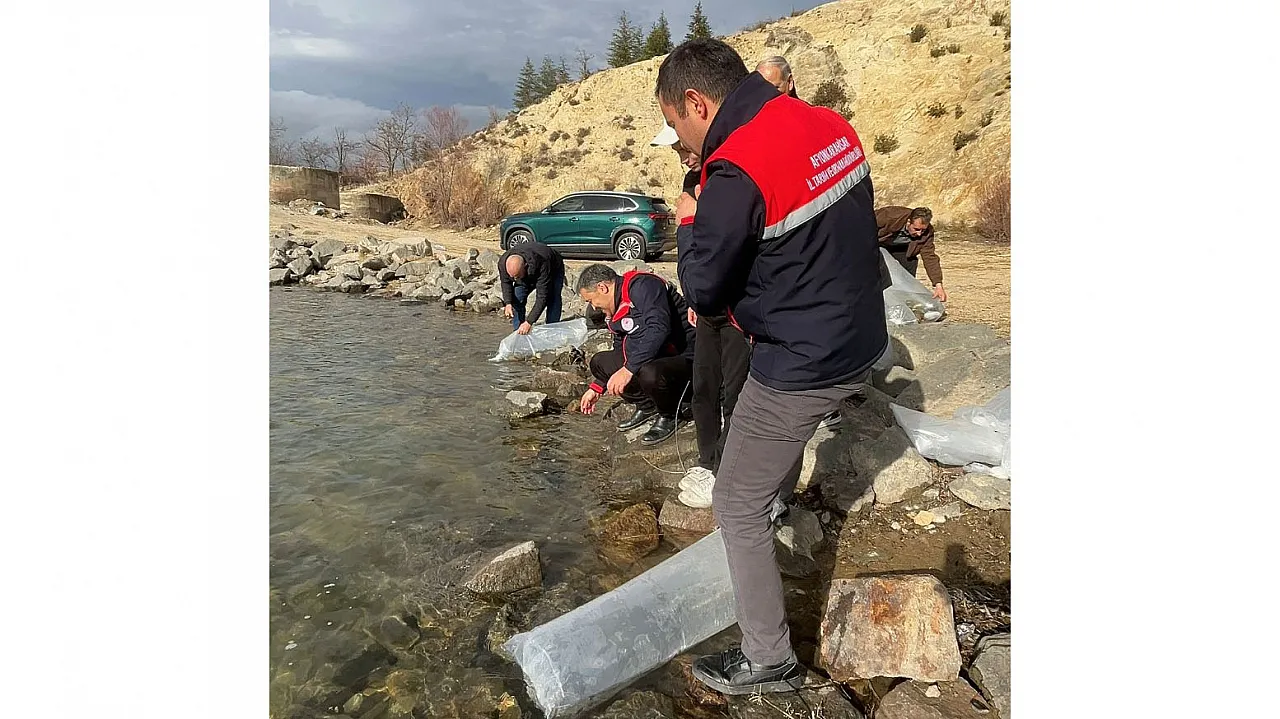 Afyonkarahisar'ın Göllerine 789 Bin Sazan Yavrusu Bırakıldı