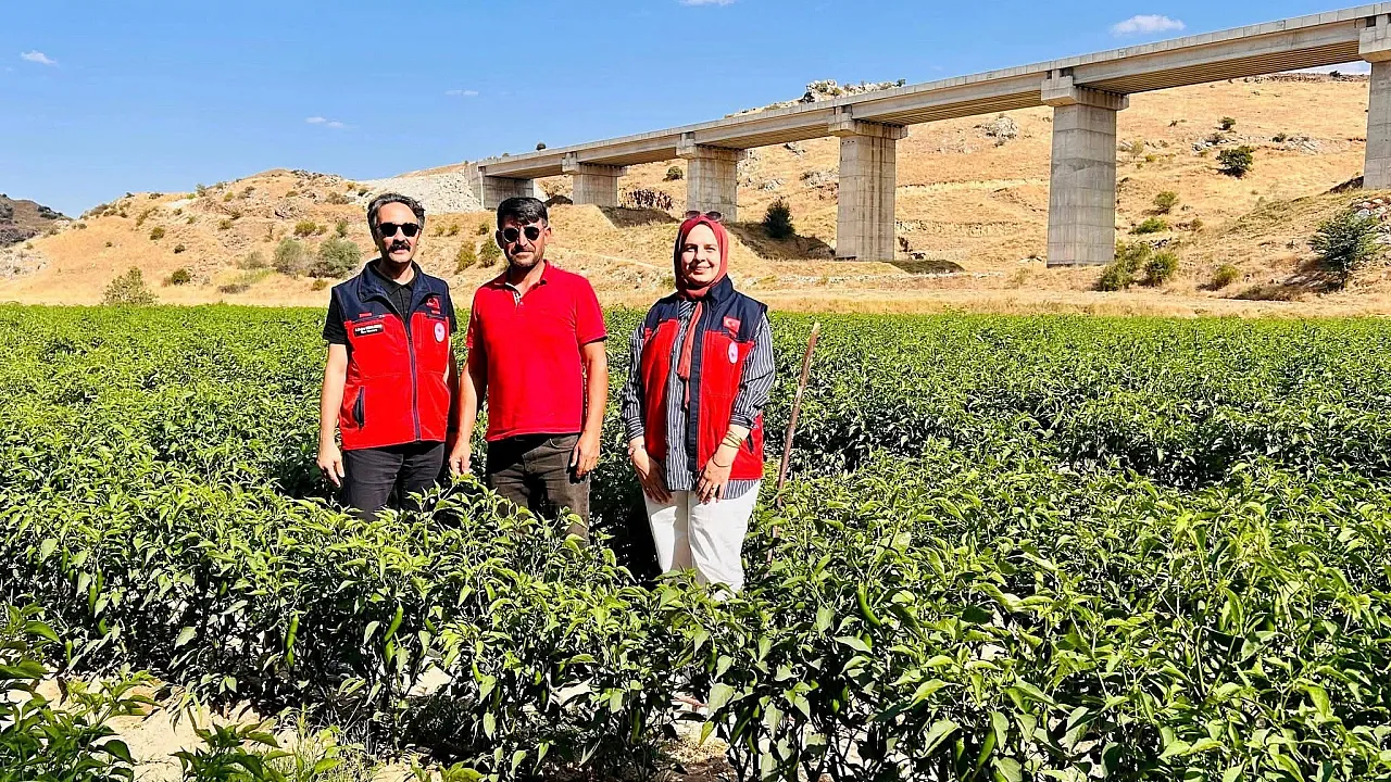 Afyon’da Tarımda Yeni Ürün Hamlesi!