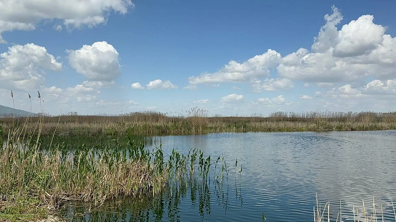 Eber Gölü Çevresinde Üreticinin Yüzü Gülüyor