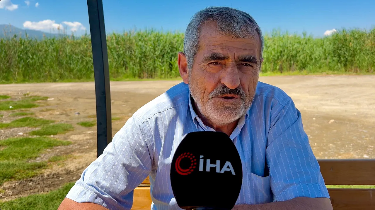 Sıcaktan Bunalan Mandalar Göle Akın Etti