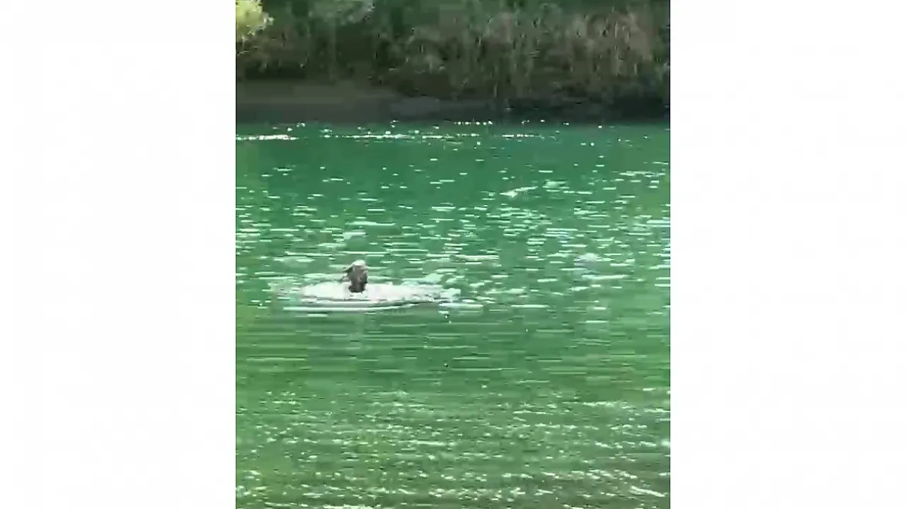 4 Kadın Piknik İçin Gittiler, Faciayı Yaşadılar!