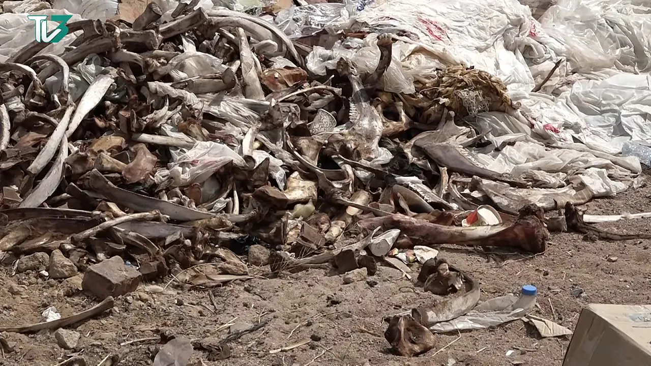 Afyon'da Kan Donduran Görüntüler! Hayvan Leşleri Vatandaşları Bezdirdi