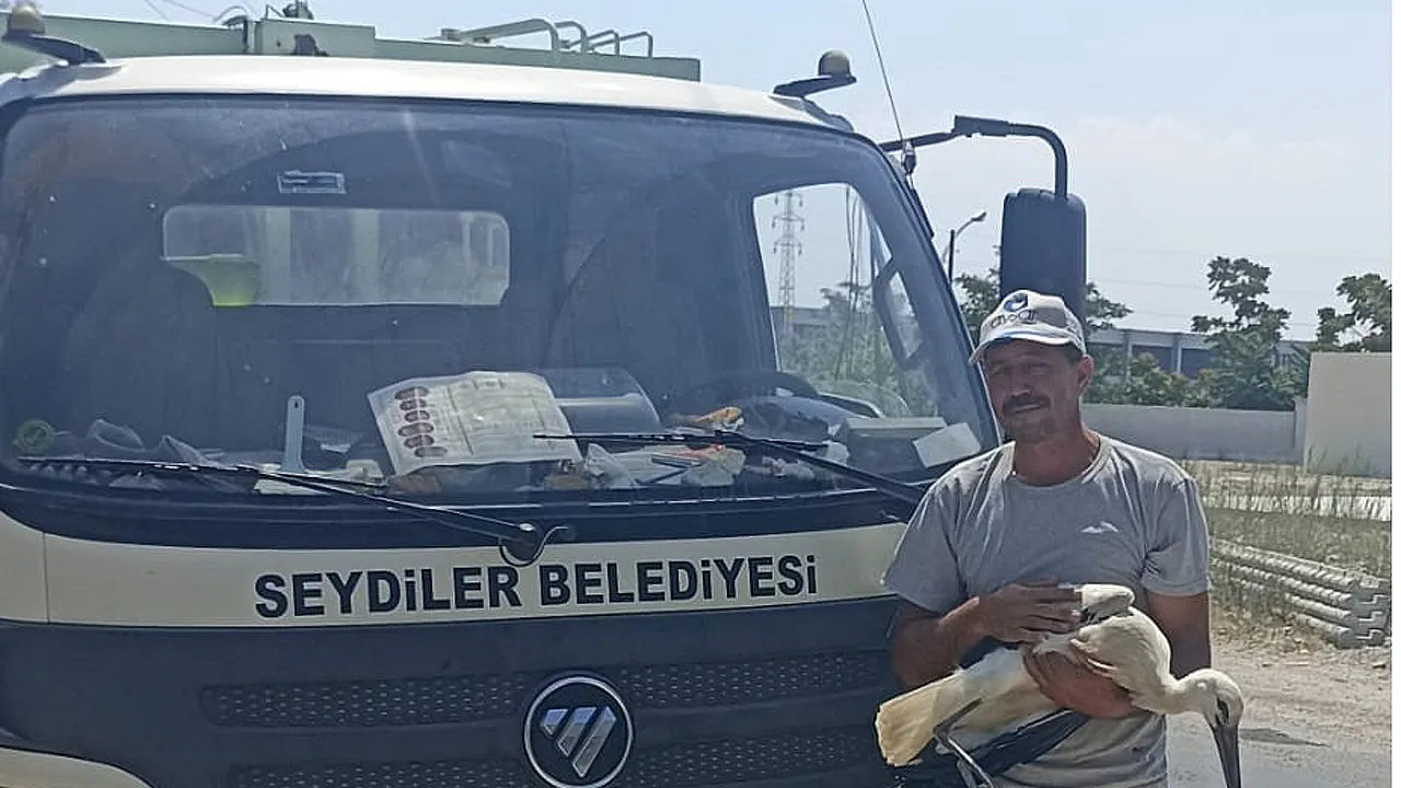 Yaralı Leylek Koruma Altına Alındı