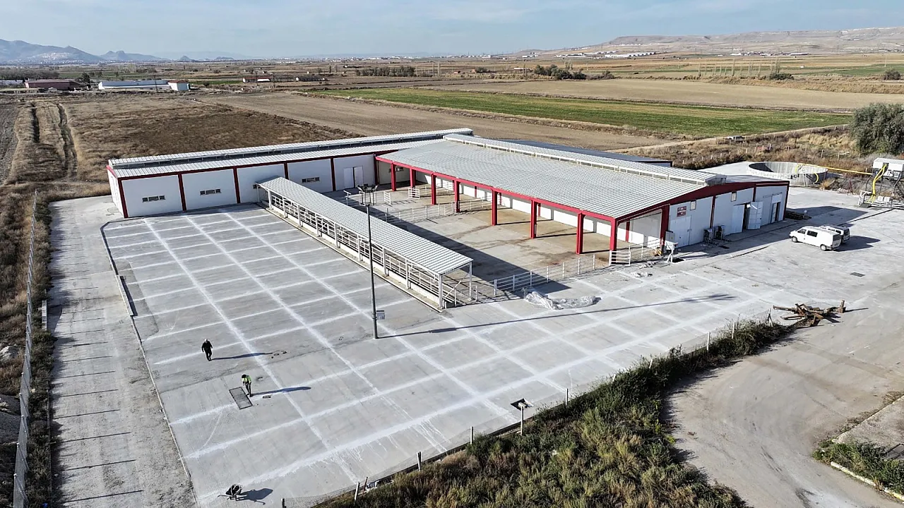 Afyon'da Manda Sütü Devrimi! AMANDA'nın Üretim Kapasitesi Katlandı