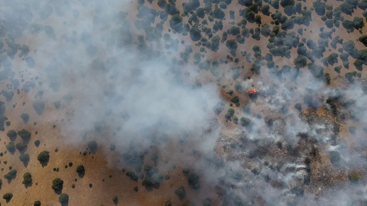 Afyon'da Orman Yangını Korkuttu!