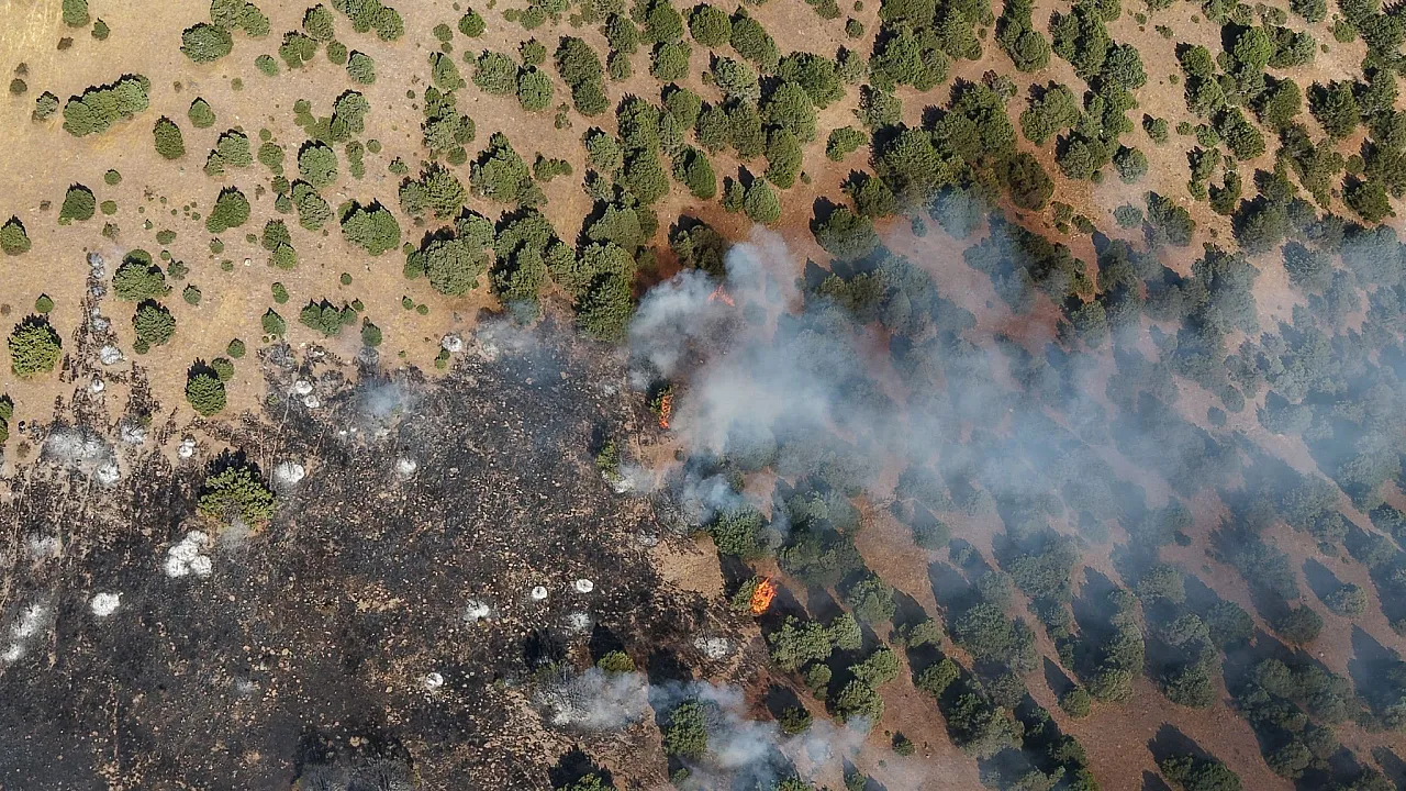Afyon'da Orman Yangını Korkuttu!