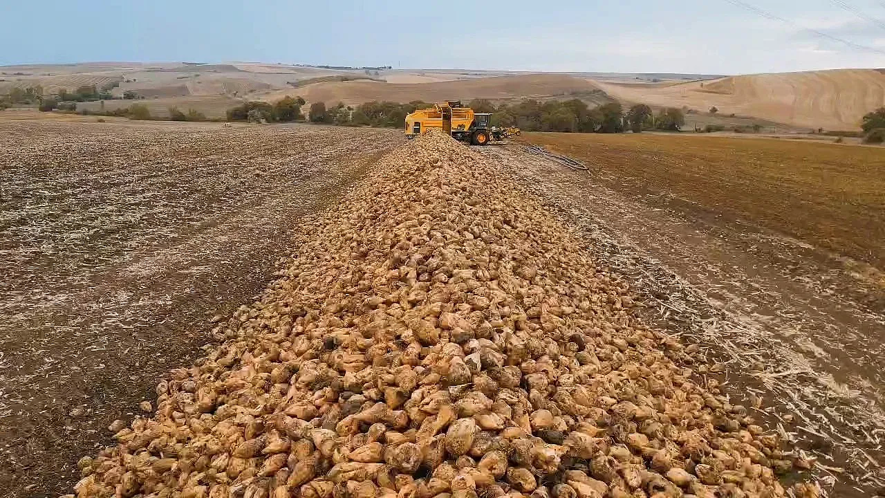 YENİ Partili Çalışkan: Pancar Ekicileri Sıkıntıda