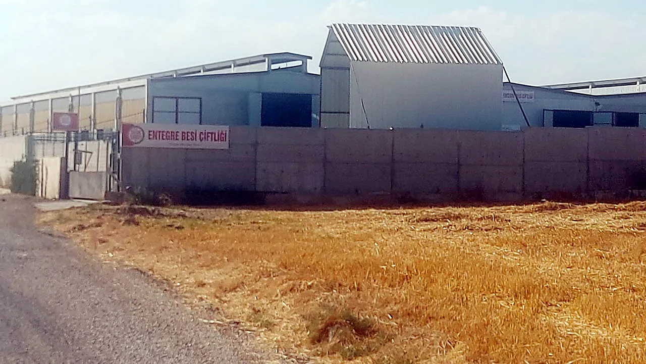 Damızlık Yetiştiricileri Birliği'nin Dev Çiftliği Neden Satıldı? Yetkili İsim Açıkladı