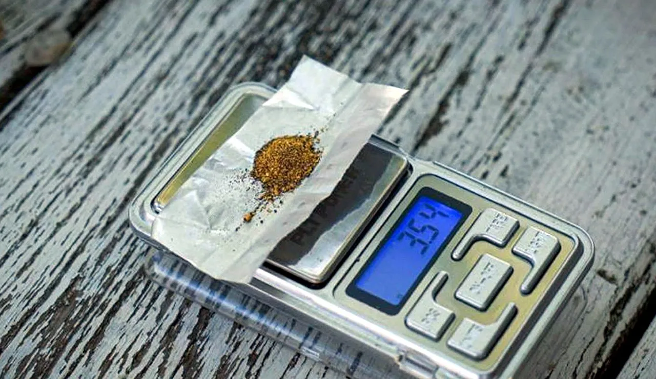 Derelerde Altın Arıyorlar, Günde 20 Gram Topluyorlar