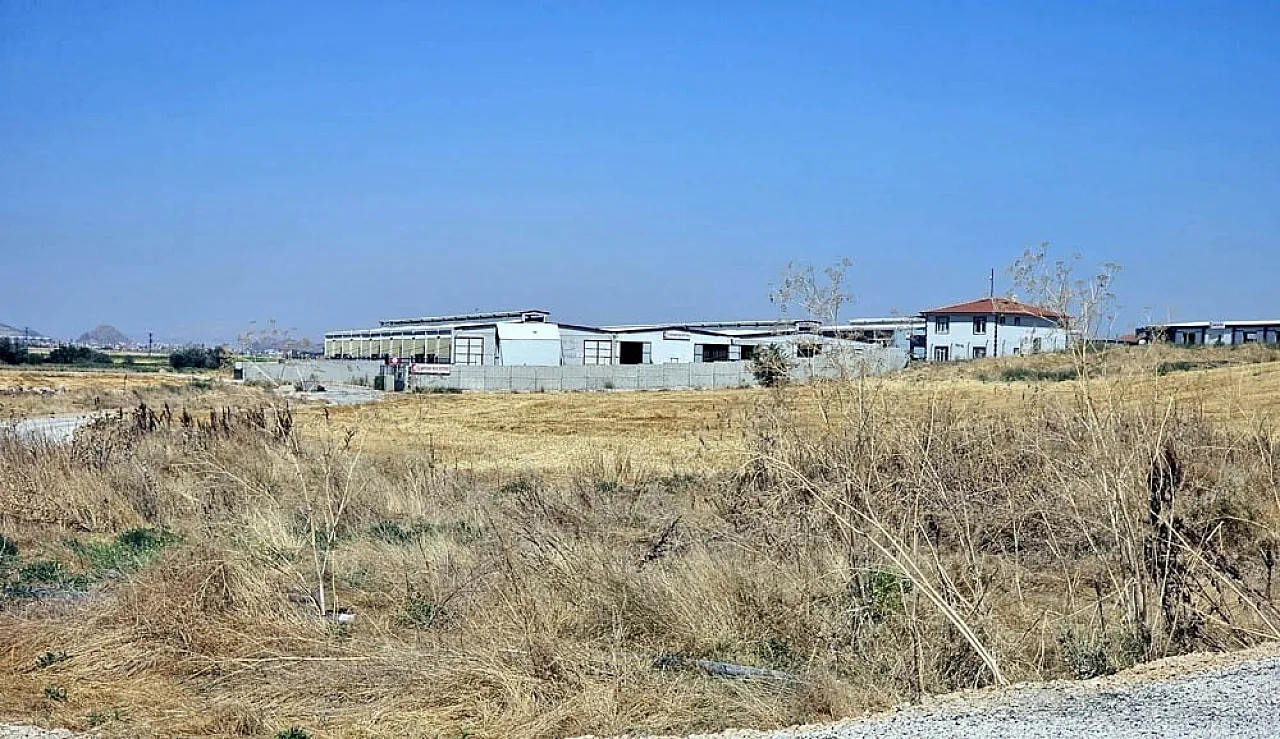 Damızlık Yetiştiricileri Birliği'nin Dev Çiftliği Neden Satıldı? Yetkili İsim Açıkladı