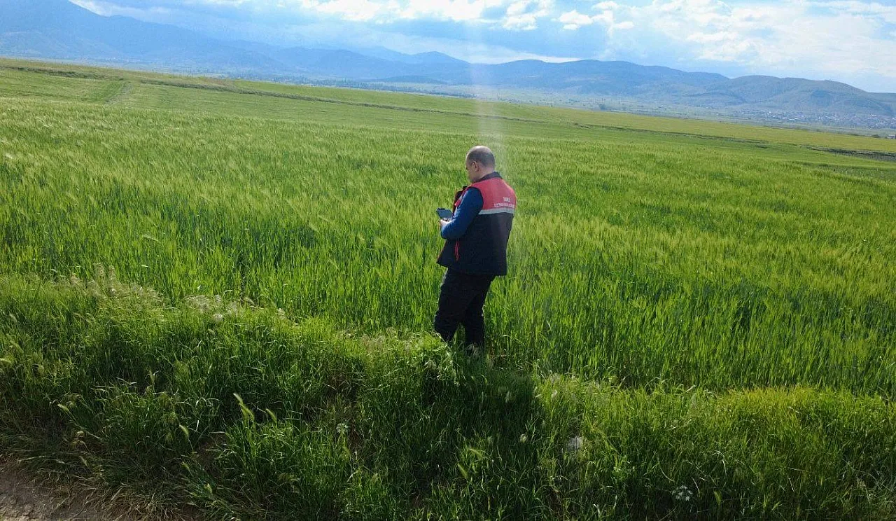 Afyon, İscehisar Ve Sandıklı'da Zararlı Çalışmaları Yapılıyor