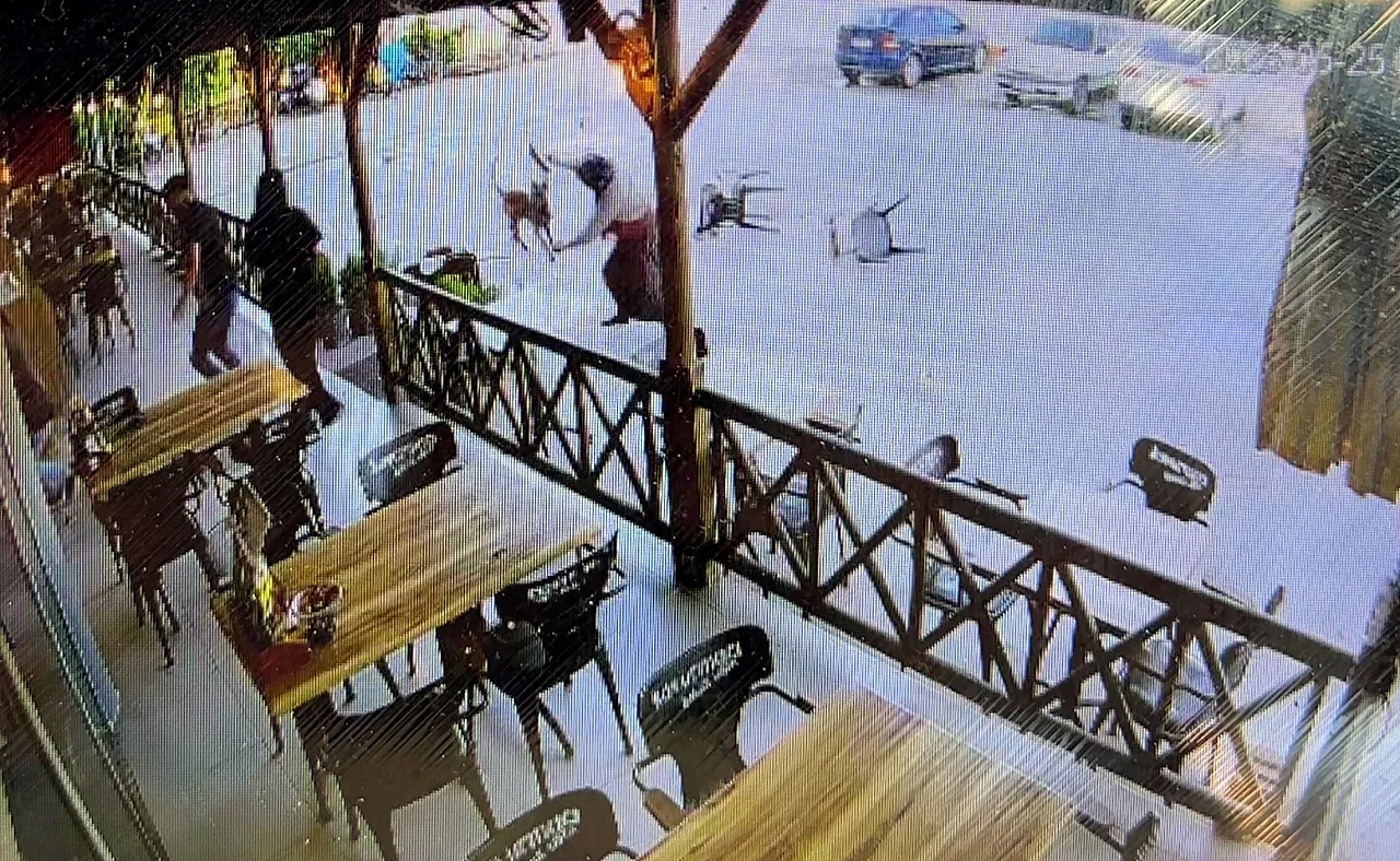 Afyon'da Dehşete Düşüren Köpek Saldırısı