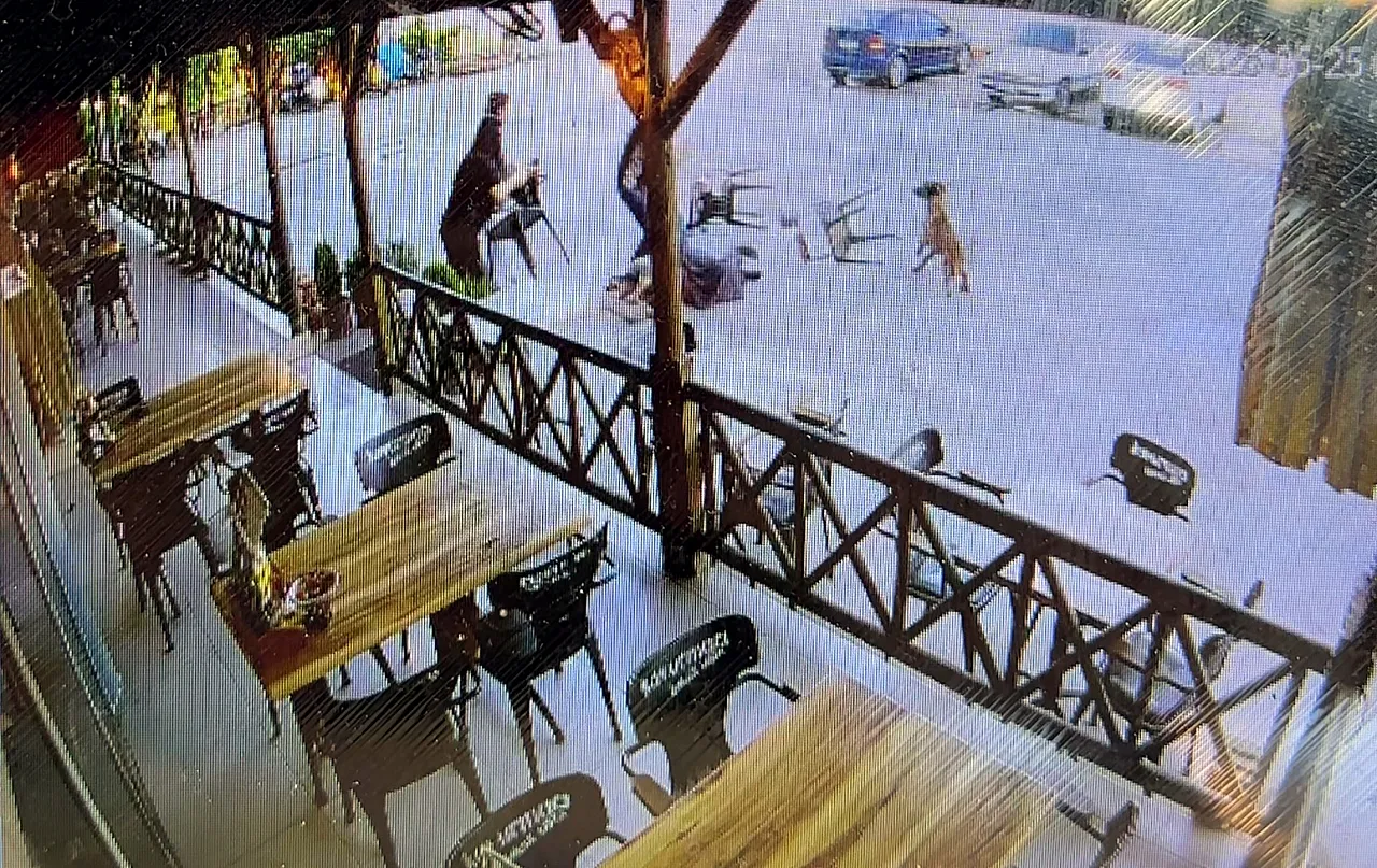 Afyon'da Dehşete Düşüren Köpek Saldırısı