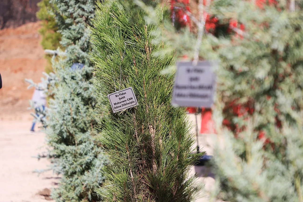 Afyon'da Yeşil Vefa: 198 Bin Fidan Toprakla Buluştu