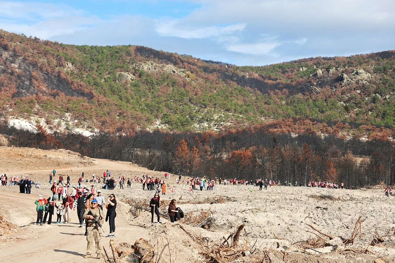 Afyon'da Yeşil Vefa: 198 Bin Fidan Toprakla Buluştu