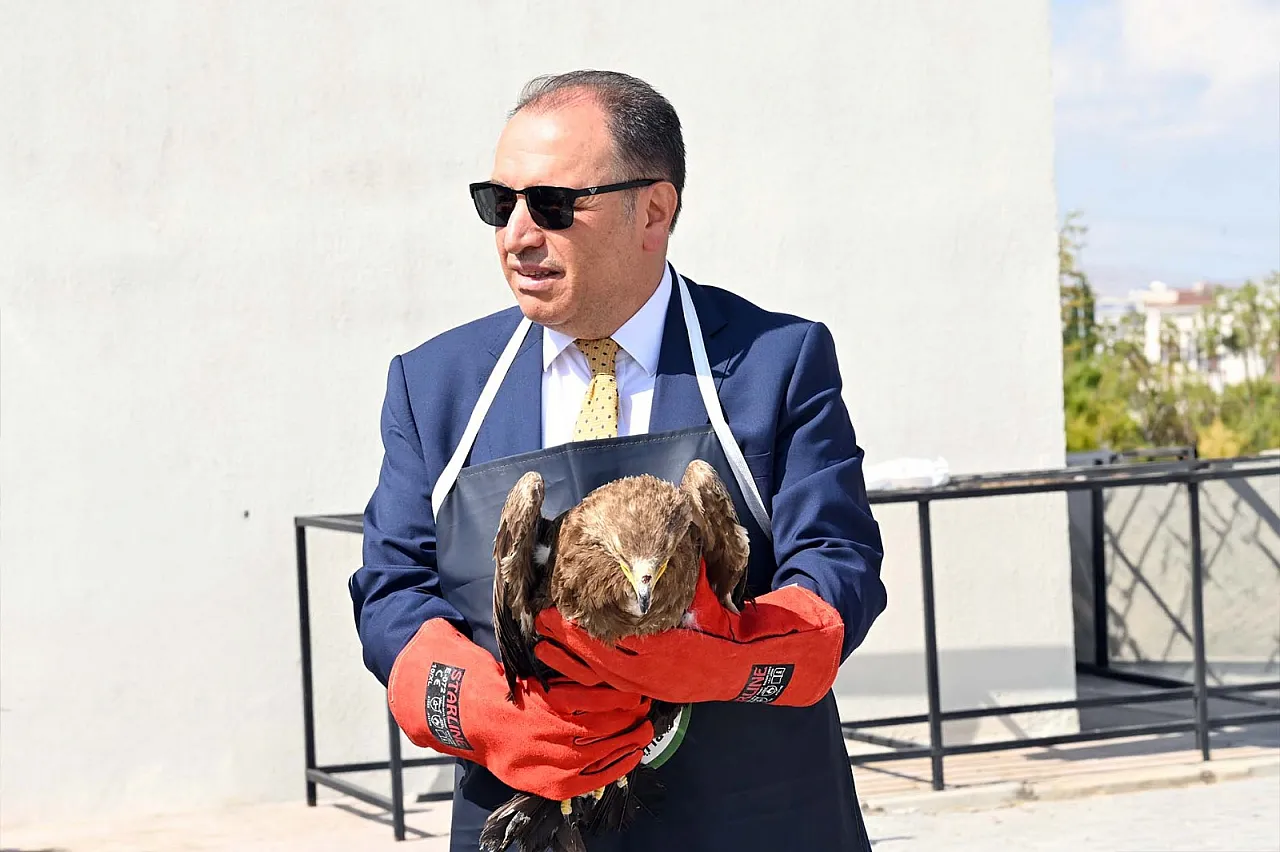 Afyon'da 23 Yaban Hayvanı Hayata Tutundu!