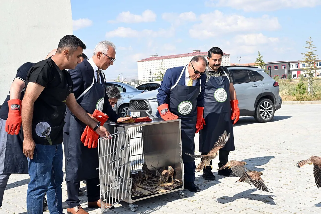 Afyon'da 23 Yaban Hayvanı Hayata Tutundu!