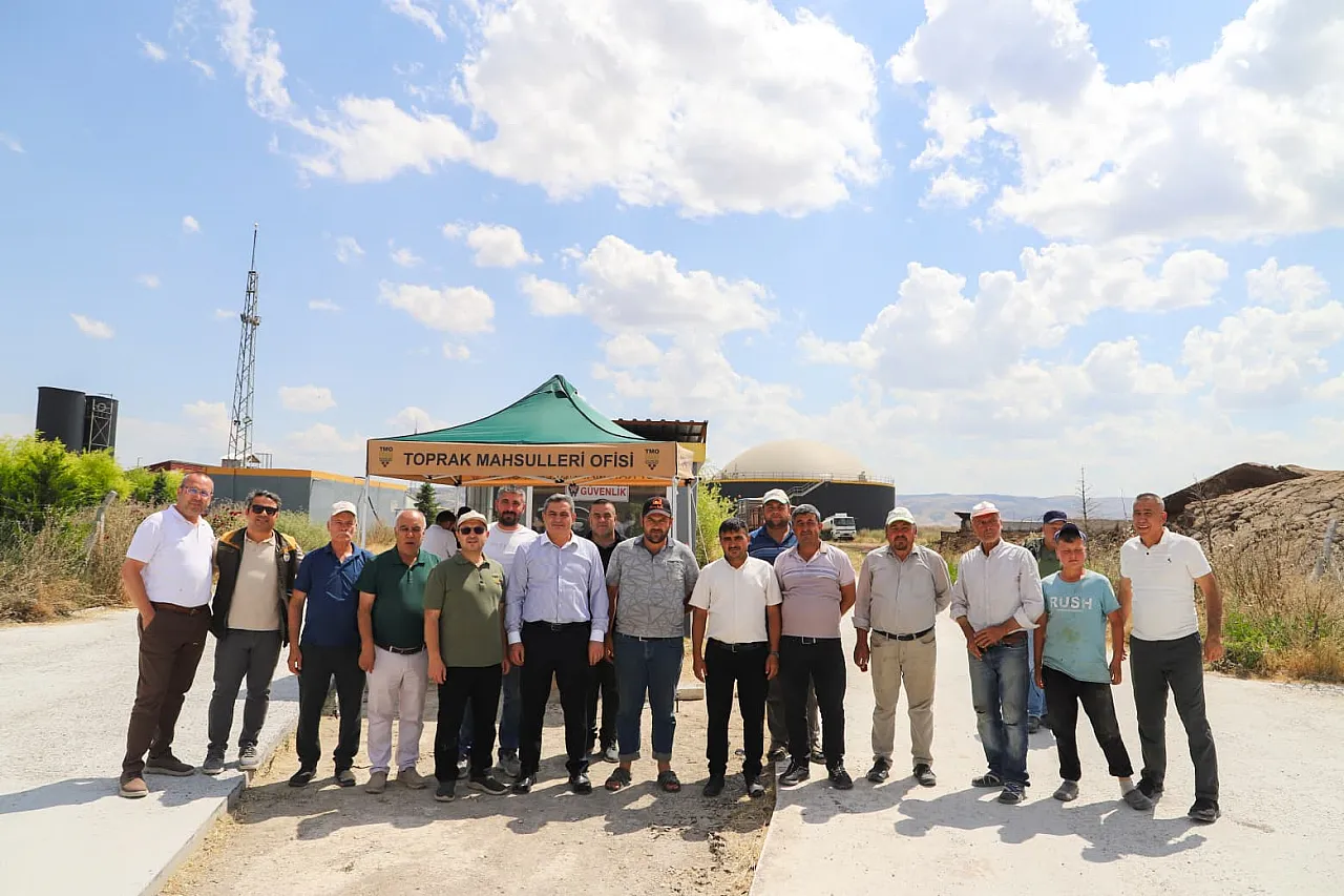 Çobanlar'da Hasat Zamanı… Üreticiler Yalnız Değil