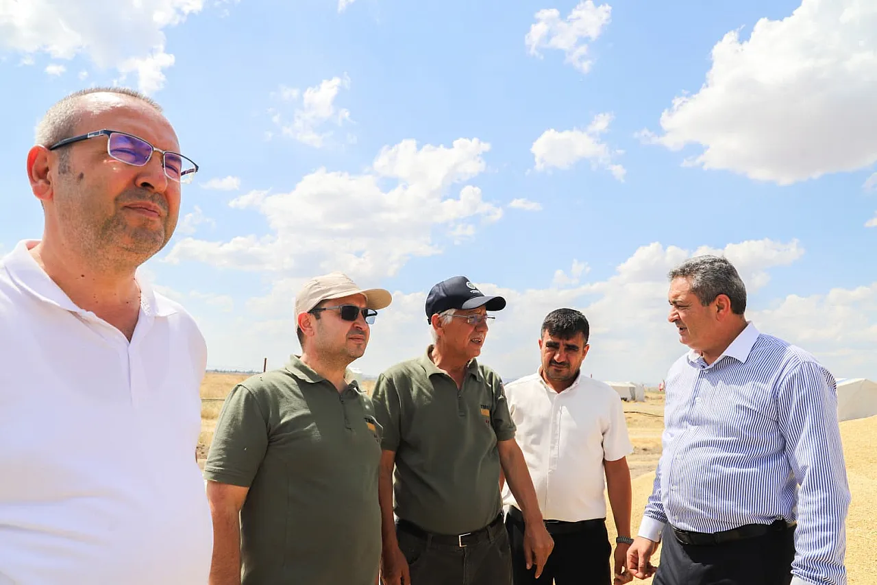 Çobanlar'da Hasat Zamanı… Üreticiler Yalnız Değil