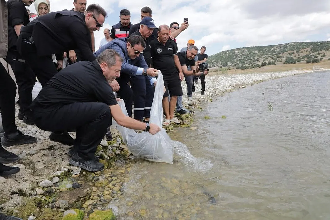 Barajlara 200 Bin Balık Bırakıldı