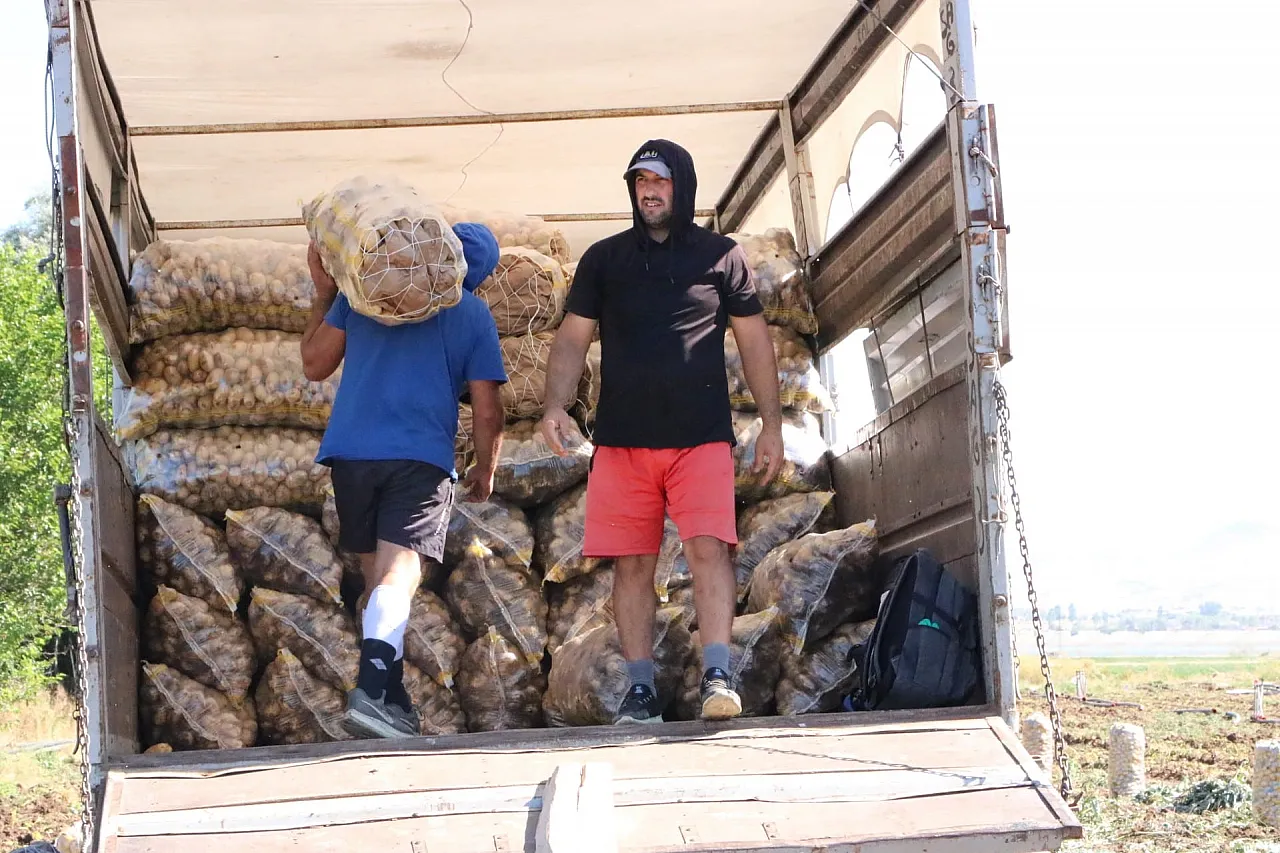 Hasadı Başlayan Patates Fiyatıyla Üreticilerin Yüzünü Güldürdü