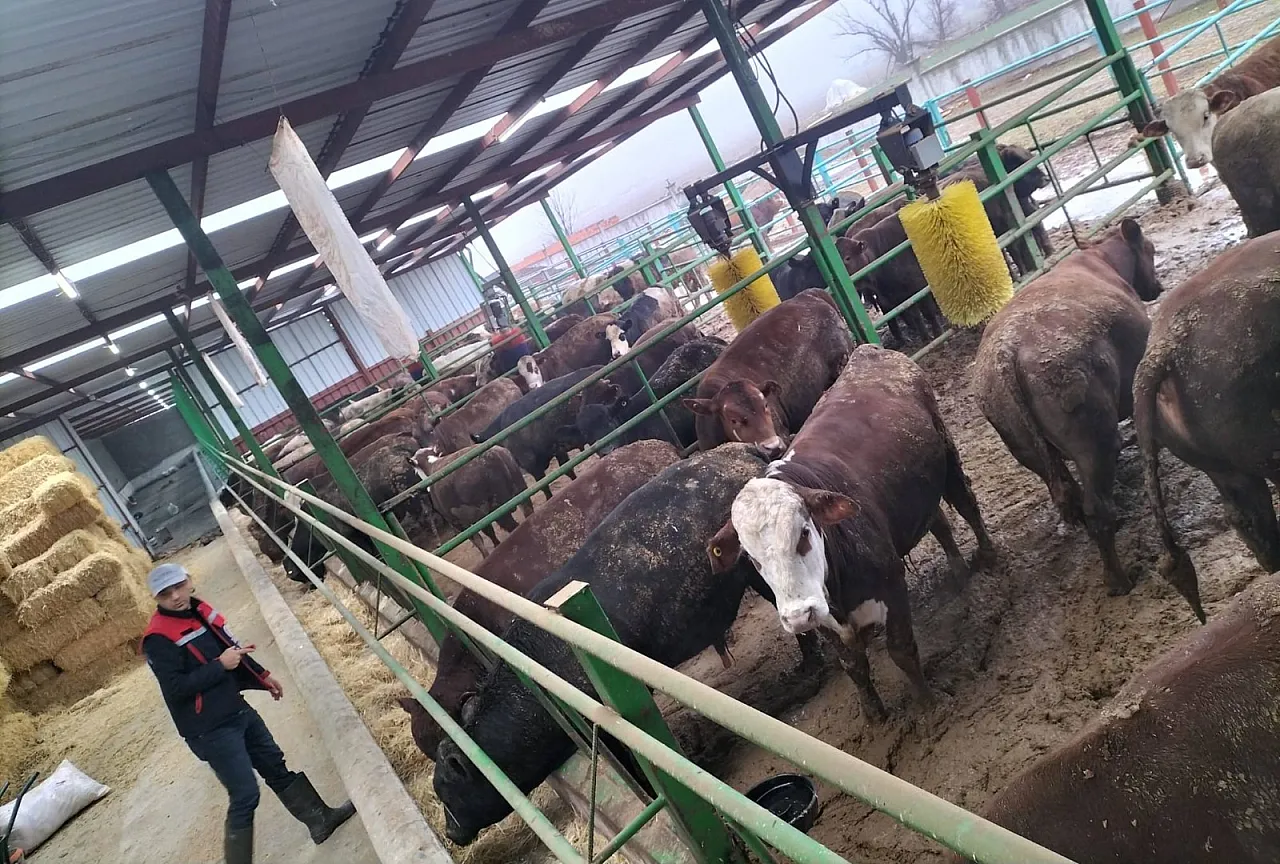 Afyon'da İşletmeler Tek Tek İnceleniyor