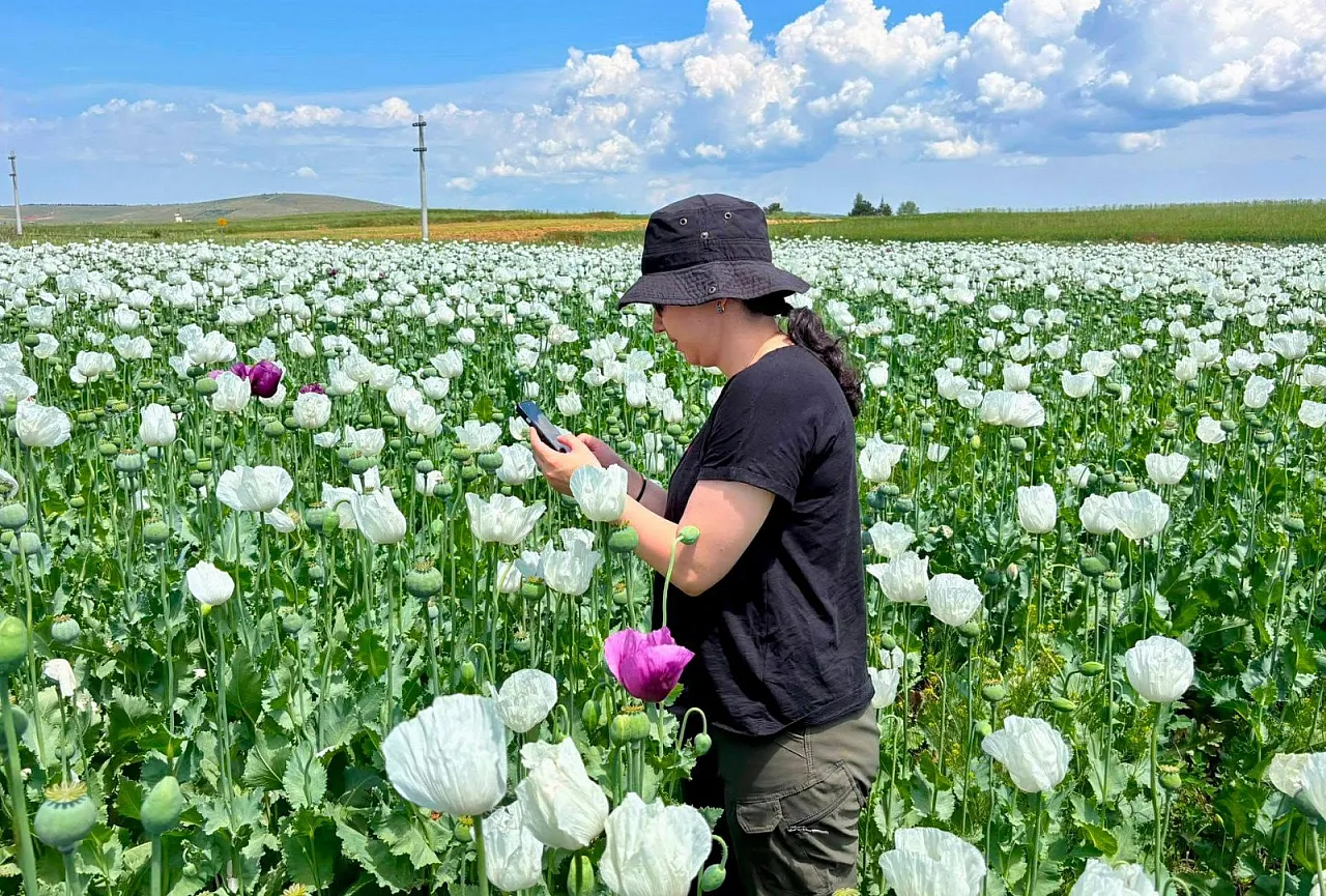 Dazkırı Ve İhsaniye'de Planlı Üretim Saha Kontrolleri Yapılıyor
