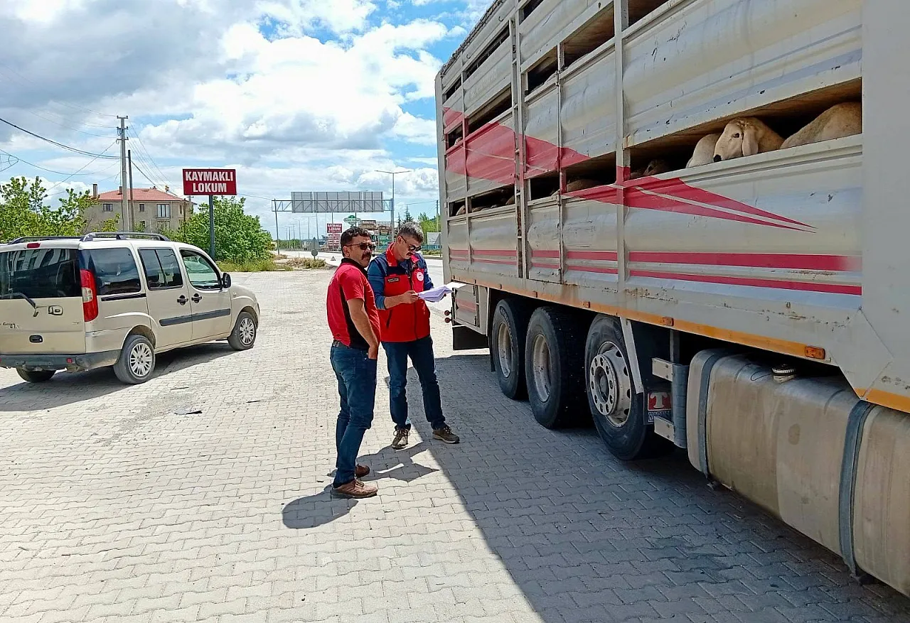Çay'da Canlı Hayvan Nakil Araçları Denetlendi