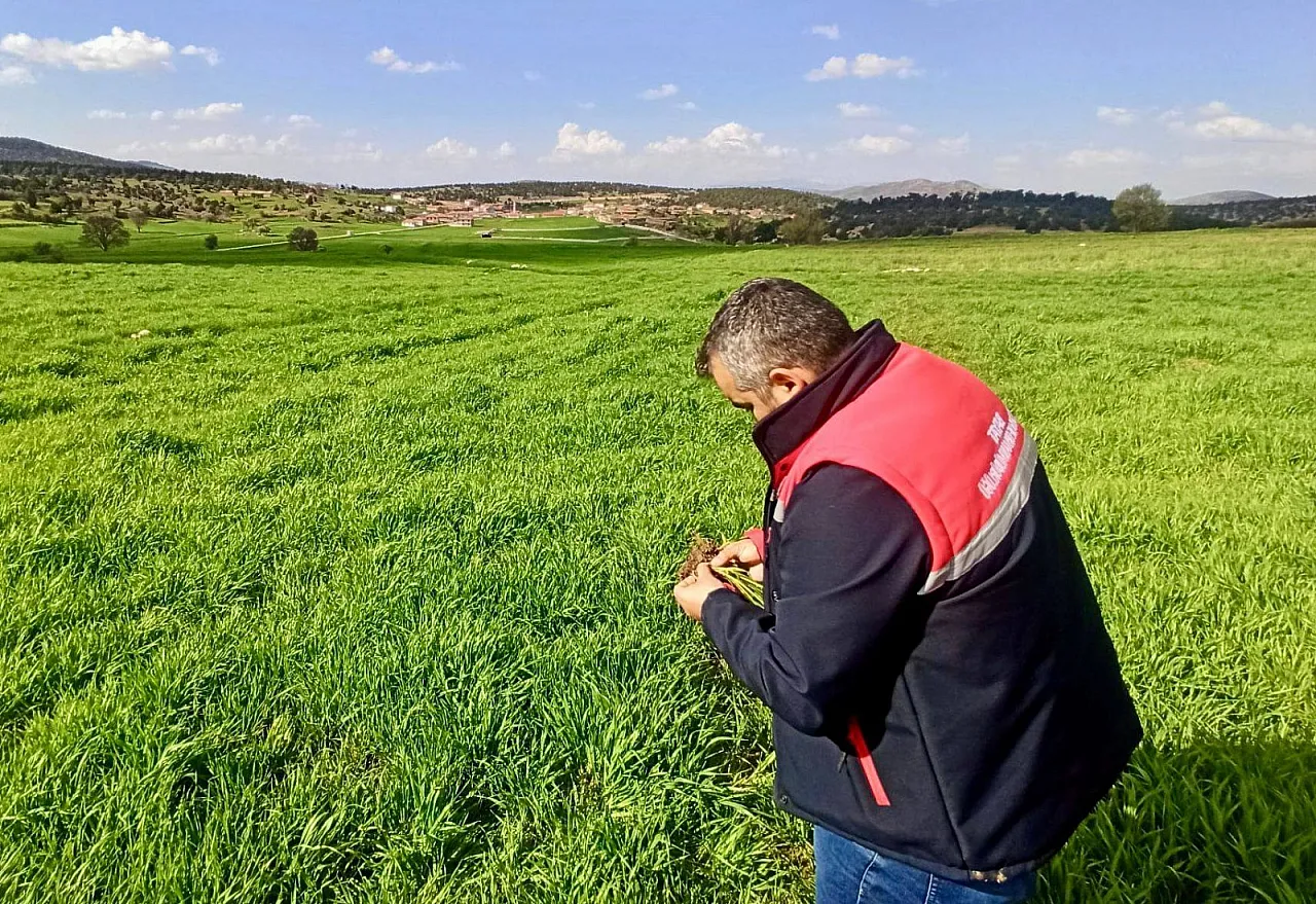 Bayat İlçesinde Arazi Kontrolleri Yapıldı