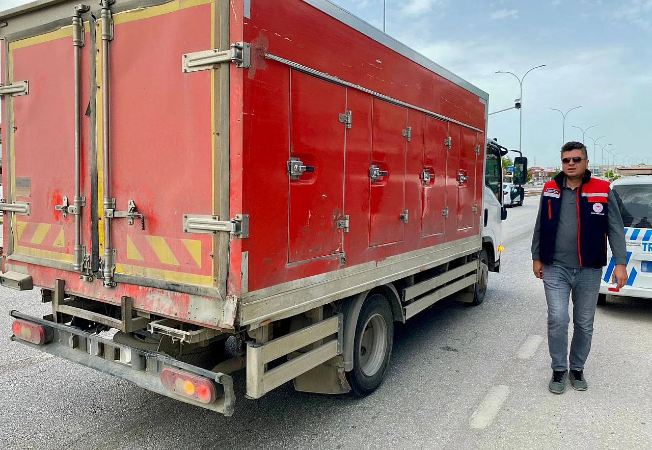Dazkırı'da Hayvan Hareketleri Kontrol Edildi