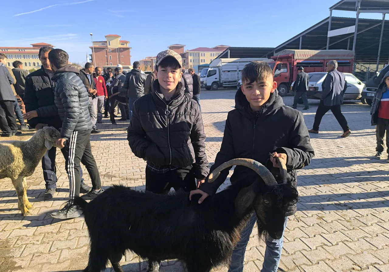 Uzun Süredir Kapalı Olan Canlı Hayvan Pazarı Açıldı