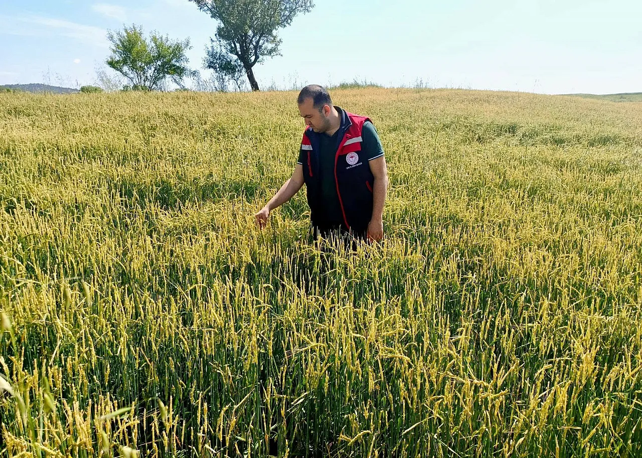 Sandıklı'da Doludan Etkilenen Alanlar İncelendi