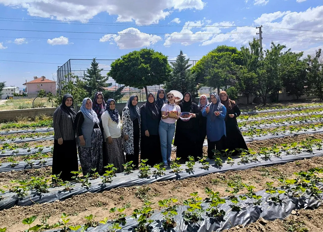 Afyon'da Beklenen Proje Meyvesini Verdi