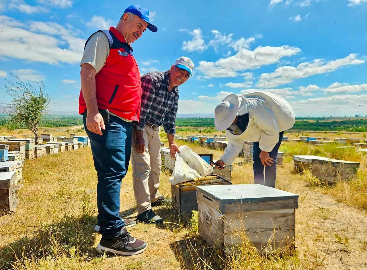 Afyon'da Arıcılara Destek İçin Kapsamlı Denetim