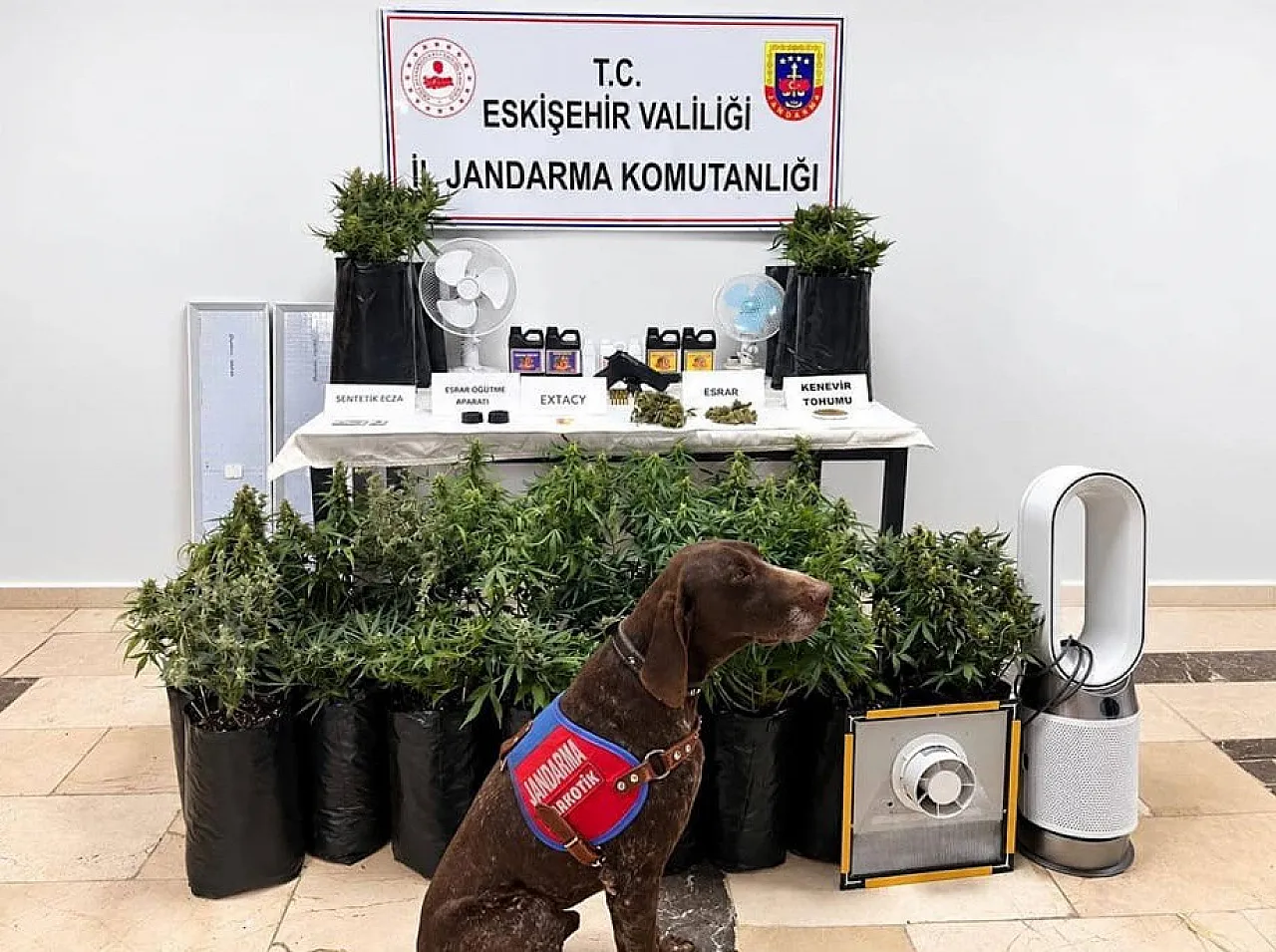 Eskişehir Odunpazarı Uyuşturucu Operasyonu: Jandarma Çok Sayıda Madde ve İklimlendirme Sistemi Ele Geçirdi