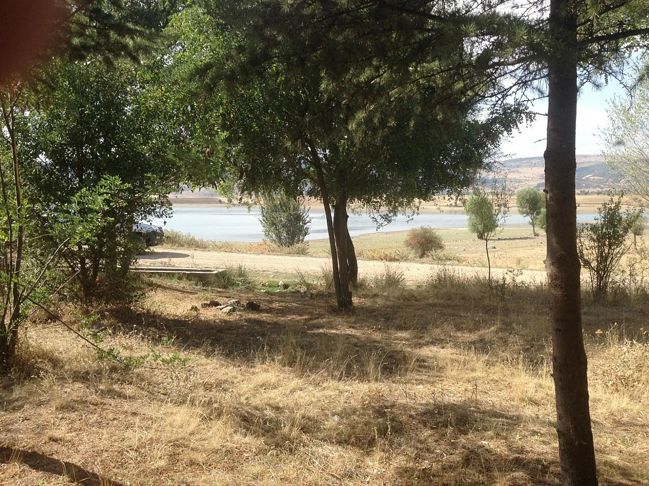 Orman Yangınları