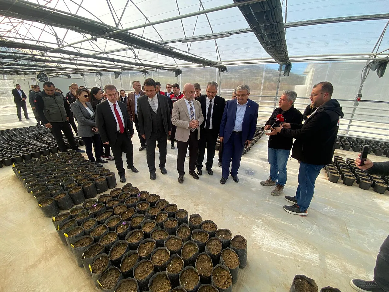 'Afyon'da Alım Garantili Safran Üretilecek'