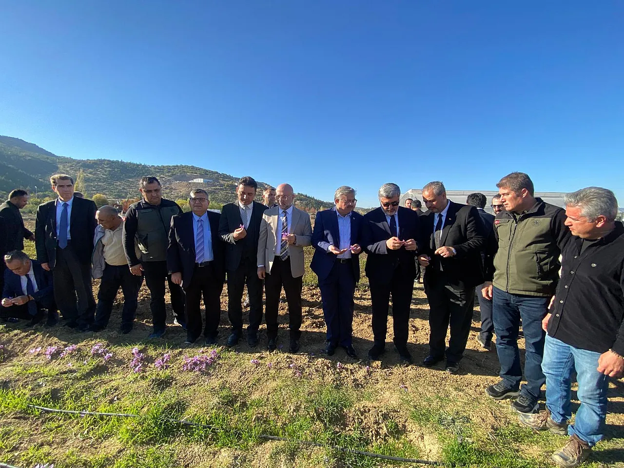 'Afyon'da Alım Garantili Safran Üretilecek'