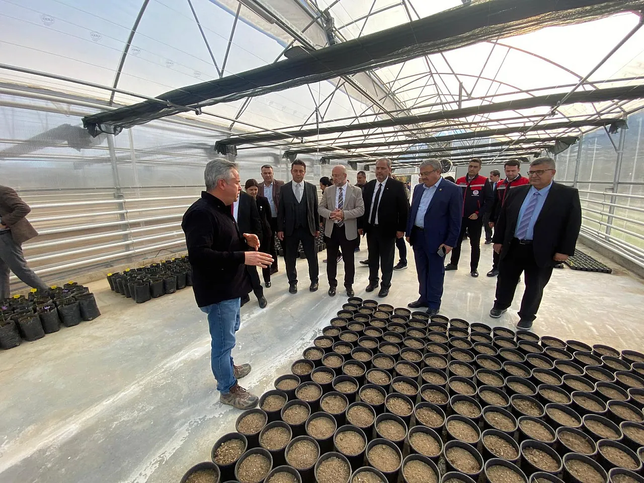 'Afyon'da Alım Garantili Safran Üretilecek'