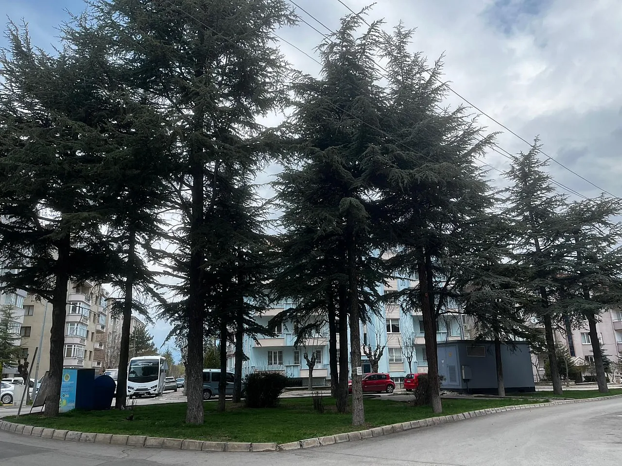 'Ağaçların Kesilmesi Söz Konusu Değil'