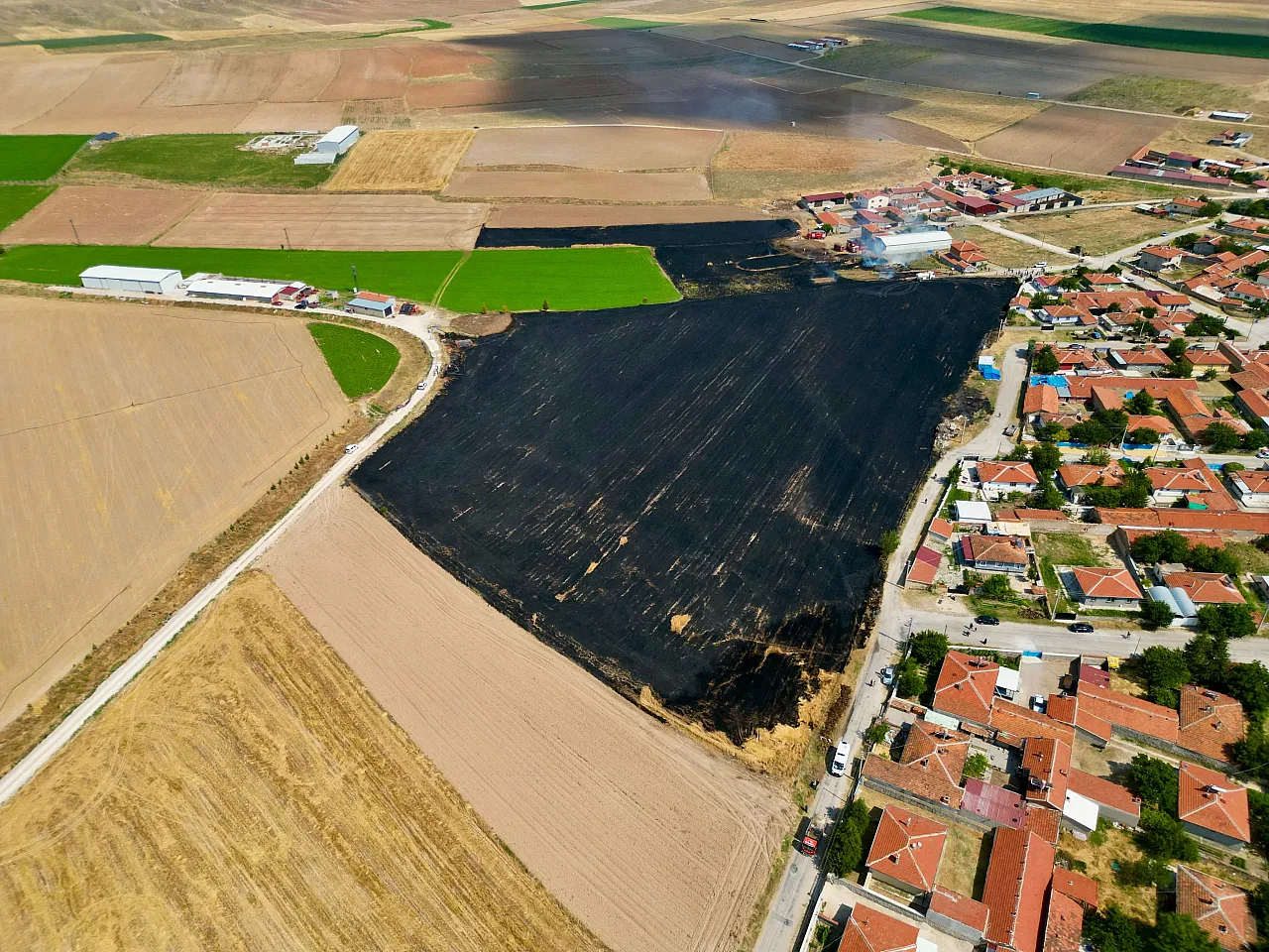 45 Dekarlık Tarım Arazisi Küle Döndü