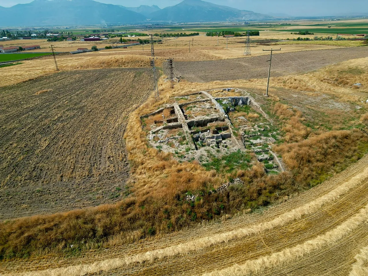 Afyon'daki Tarihi Kazı Alanı Köpeklerin Meskeni Oldu