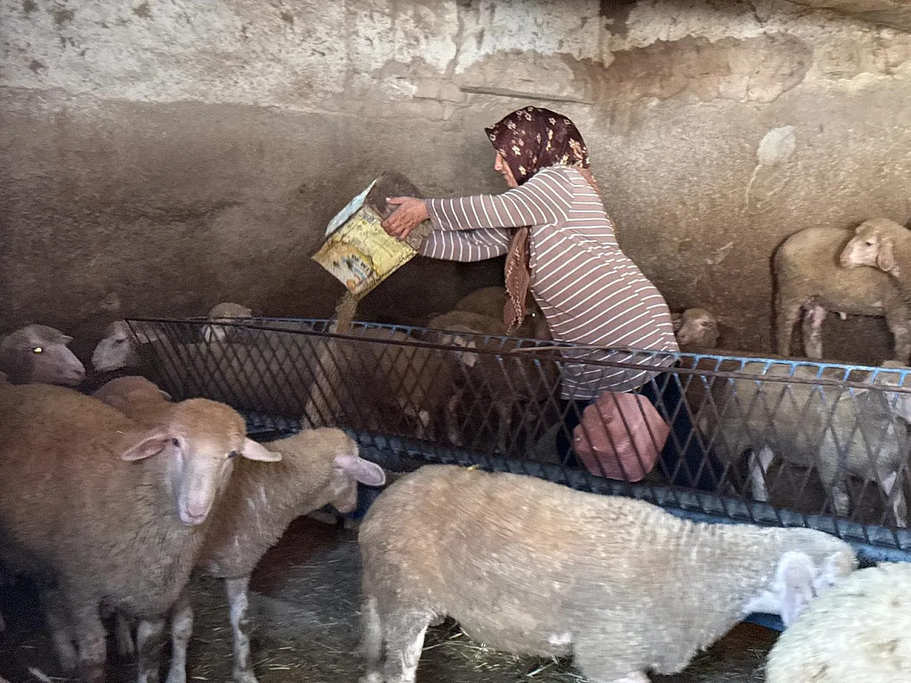 'Büyü' İddiasıyla Eşini Kaybetti: Şimdi İki Oğluyla Hayata Tutunuyor