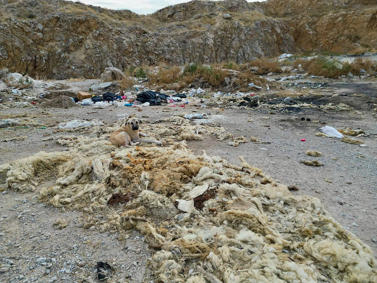Afyon'da Kokudan Durulmuyor! Eski Kum Ocağı Atık Yuvasına Döndü