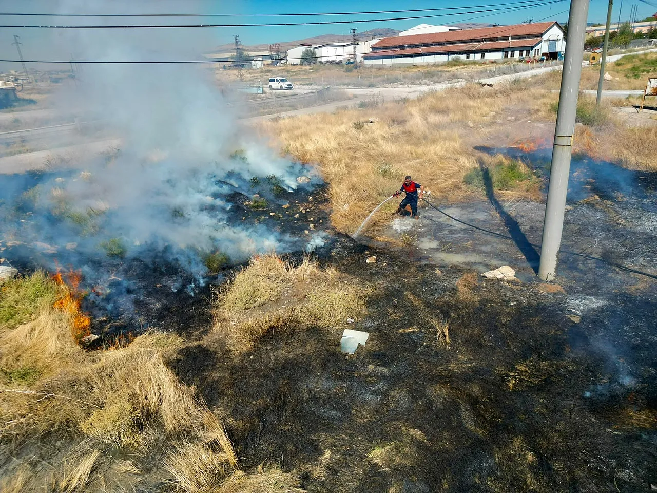 Afyon'da Yol Kenarında Anız Yangını! Sürücüler Zor Anlar Yaşadı