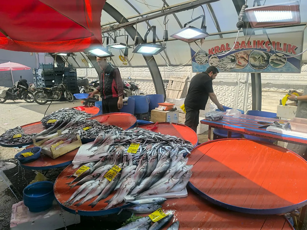 Afyonkarahisar'da Balıkçı Tezgahlarında Hareketlilik Başladı