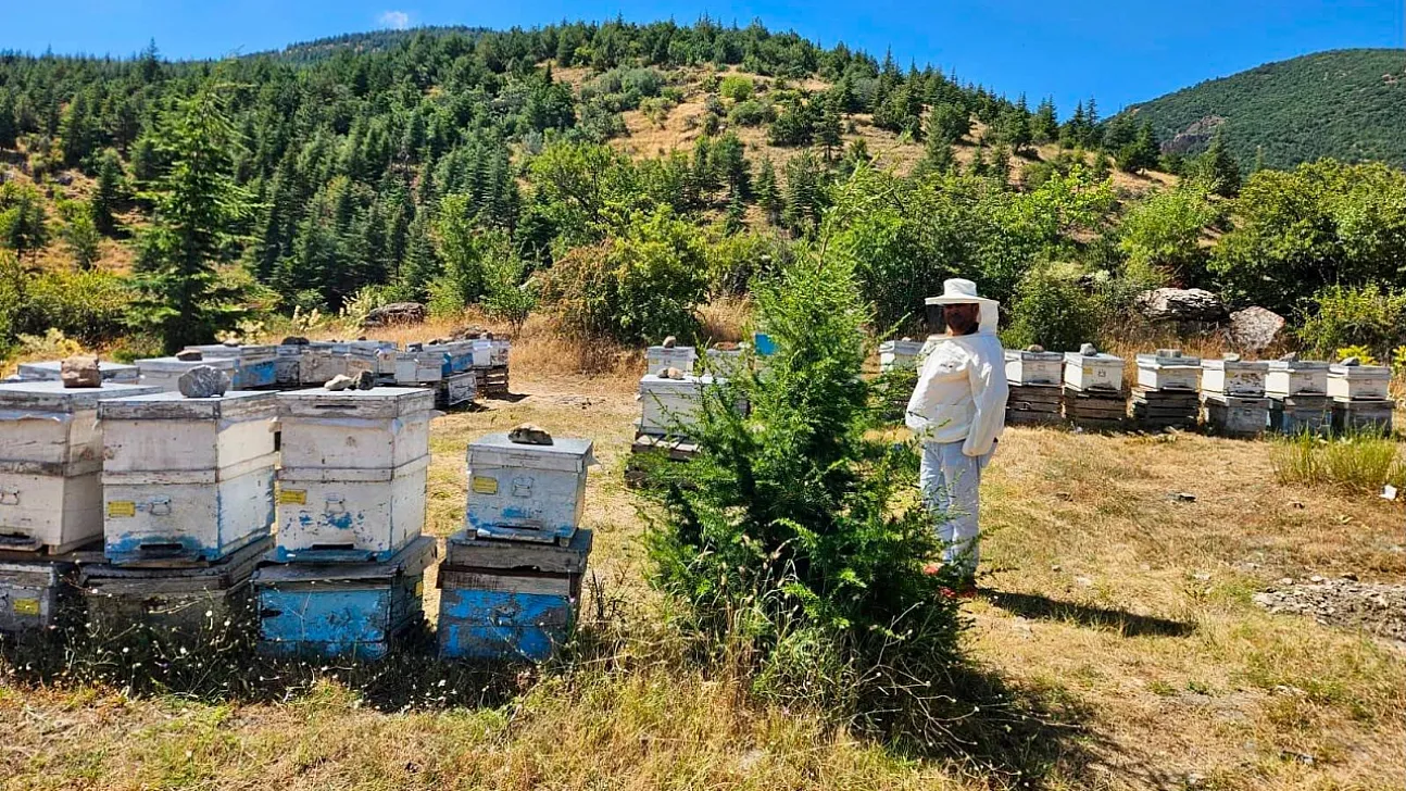 Afyon'da Arıcılara Destek İçin Kapsamlı Denetim