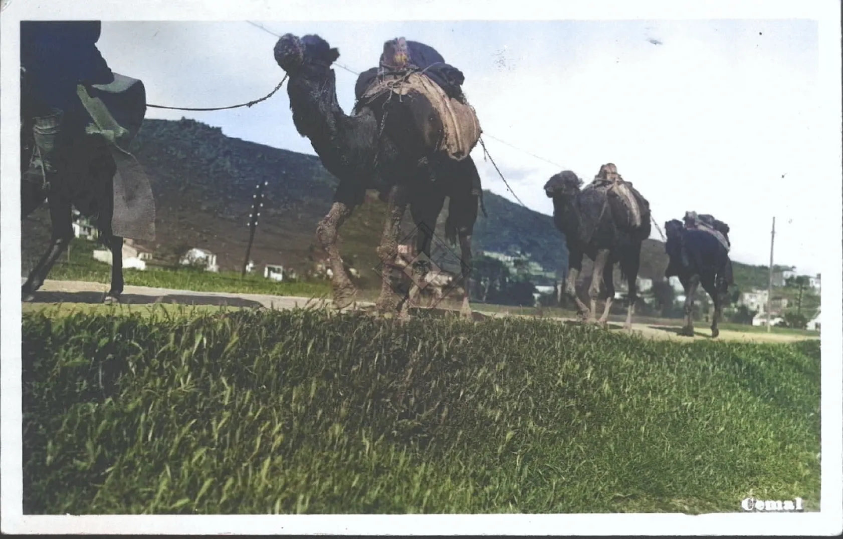 Afyon'u Renklendirdik